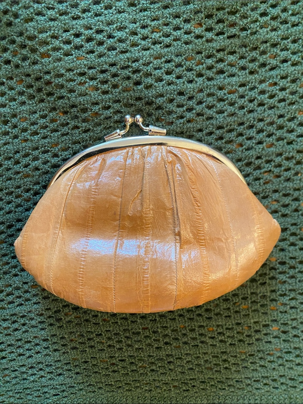 Eel Skin Kiss-Lock Coin Purse with Gold Frame